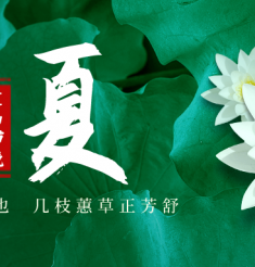 二十四节气养生丨立夏