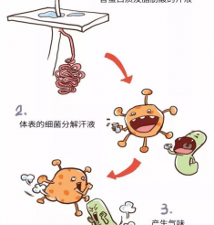 别不信，这真是一条有味道的推文